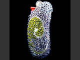 BIC lighter case with Swarovski crystals